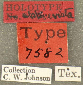 Media type: image;   Entomology 7582 Aspect: labels